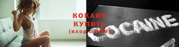 не бодяженный Новодвинск