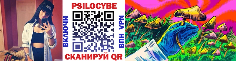 мориарти официальный сайт  Электросталь  Галлюциногенные грибы Cubensis 