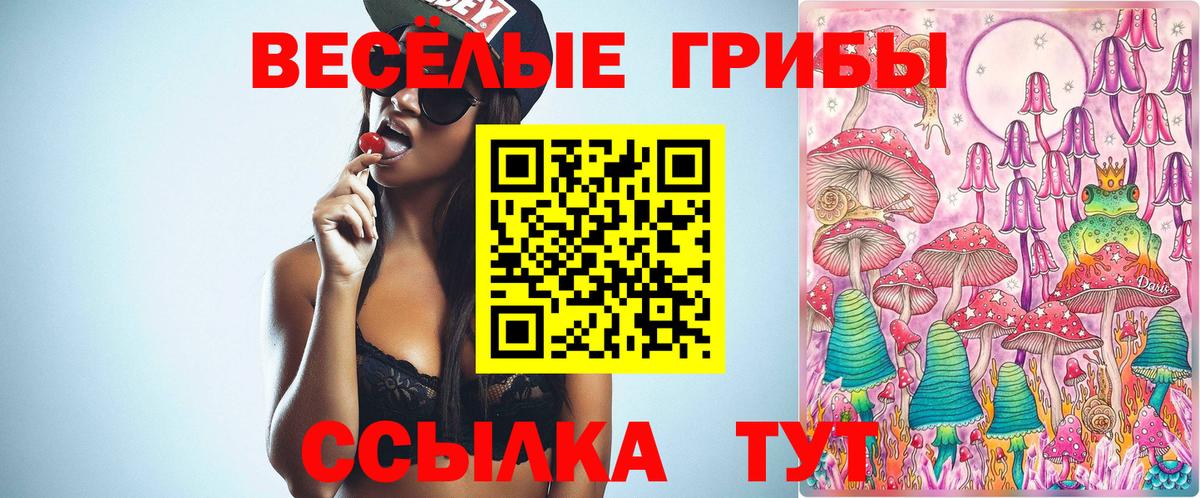 где найти   Электросталь  Псилоцибиновые грибы Psilocybe 