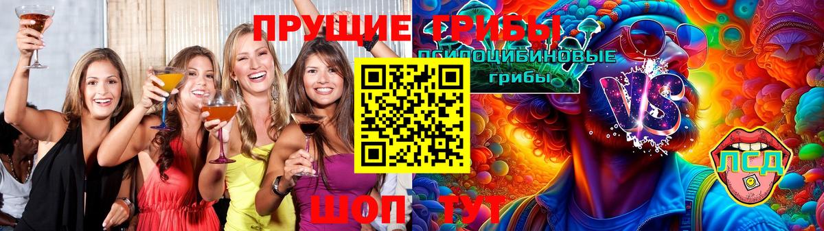 Псилоцибиновые грибы MAGIC MUSHROOMS  Вход с VPN  Электросталь  Псилоцибиновые грибы прущие грибы 